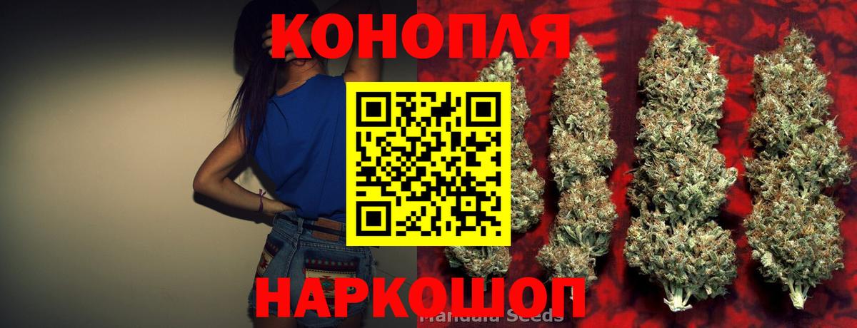 Канабис сатива  Канабис план  Ленинск-Кузнецкий  Конопля OG Kush  Вход с VPN 